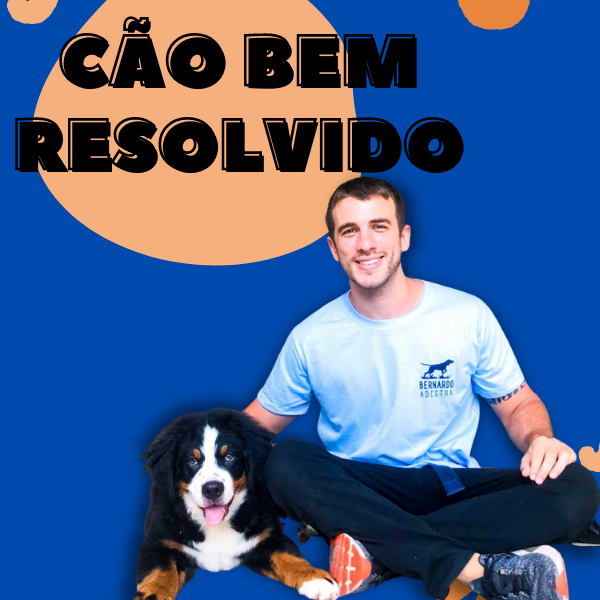 Curso Cão Bem Resolvido Funciona?【Bernardo Adestra】