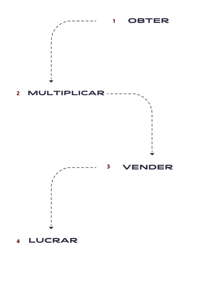 Comunidade Lucrando Com Milhas Funciona? 【Erik Galdino | Sergio Di Pietro】