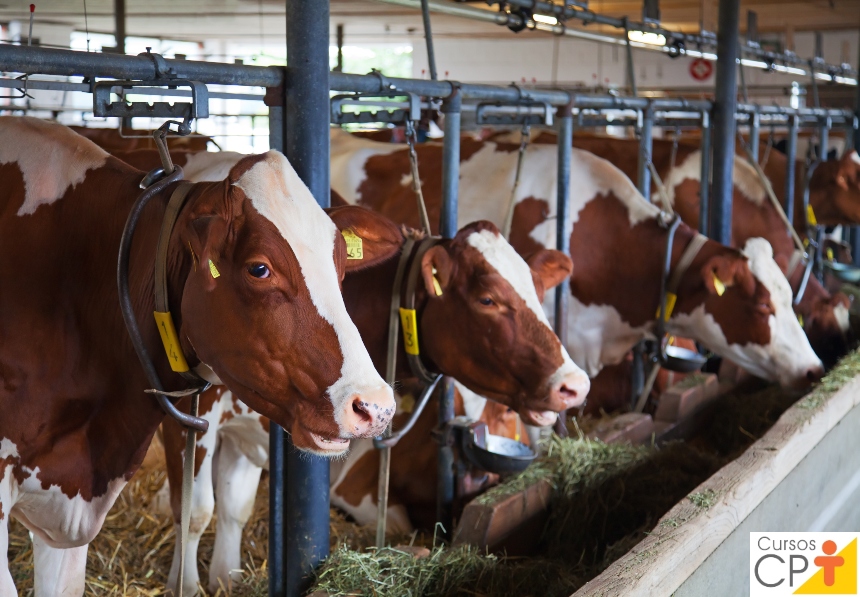 Farmacologia aplicada na bovinocultura